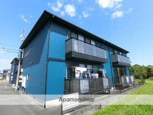 どんぐりIIの画像