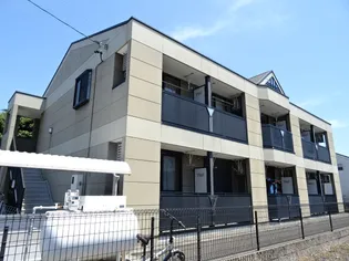 シャルムKの画像