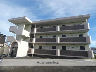 ビバーチェIの画像