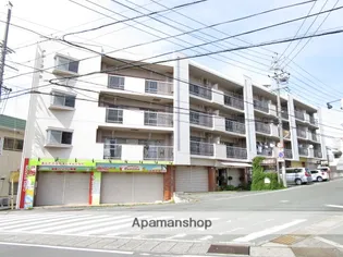 グレース名倉の画像