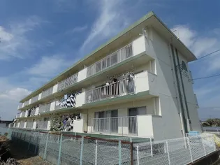 静岡県浜松市中央区根洗町【マンション】の外観