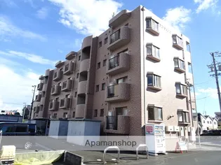 アンジャンコの画像