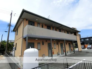 ノルタマームの画像