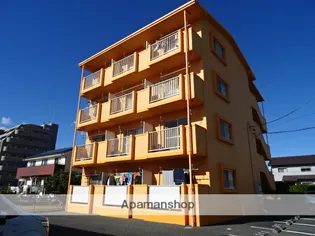 静岡県浜松市中央区初生町【マンション】の外観