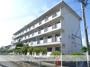 セントポーリア蜆塚の画像