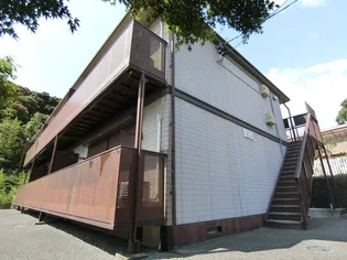 ひまわりの画像