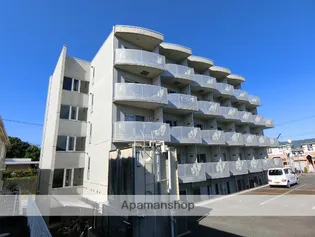 SUN CURCUMAの画像