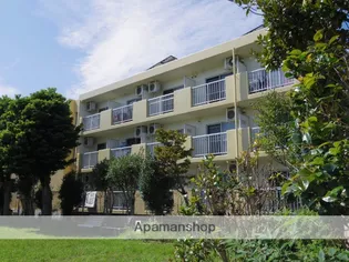 静岡県浜松市中央区布橋2丁目【マンション】の外観