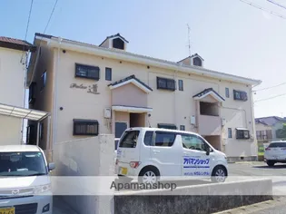 パレス道の画像