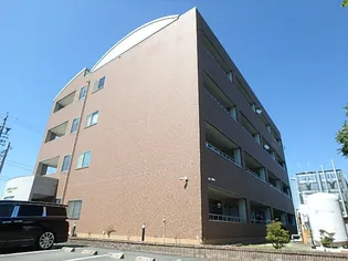 ココモ岡田の画像