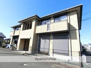 ピア グリーンの画像