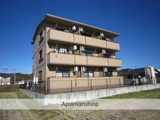 サンフラワーの画像