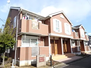 プラシードⅡの画像