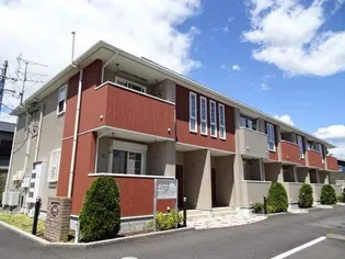 フィデールの画像