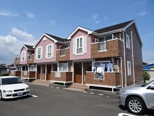 サン ドリームの画像