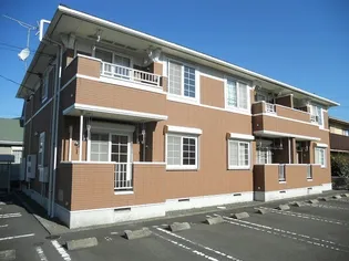 プラシードIの画像