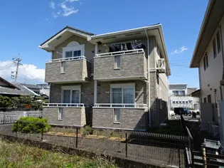 バイオレットの画像