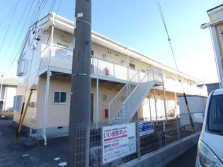 トラッドSの画像