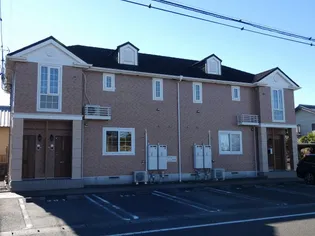 クオリアノーバの画像