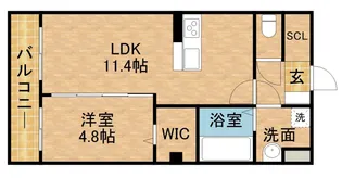 田畑ハイツルシアスⅧ【1階】の間取り