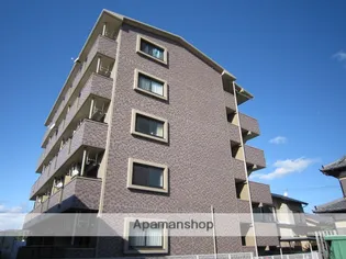 ドルフィンの画像