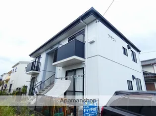 フラフィの画像