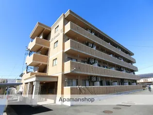 エムズドリームVIの画像