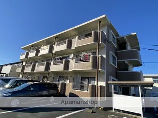 マンションやまももの木の画像