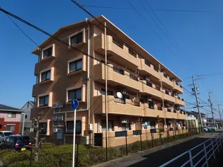 ソレアードの画像