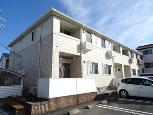 プラタナスの画像