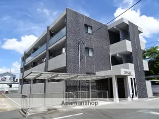 AMUSEの画像