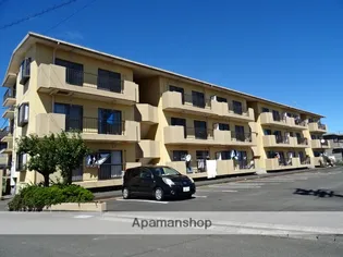 ナウ宮島の画像