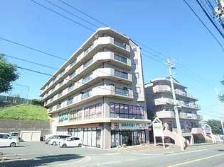 エミネンス加茂川【401号室】の外観