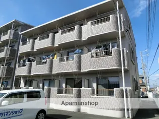 ラピスリーオの画像