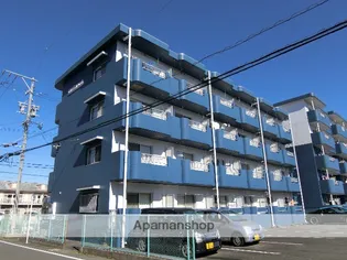 ライブ小島IIの画像