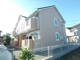 クレメントBの画像