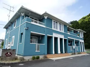 メープルの画像