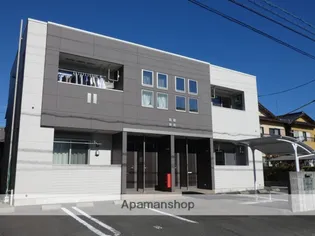 ジャスミンの画像