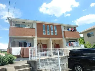 サン グリーンの画像