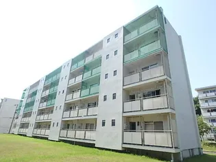 ビレッジハウス国本3号棟の画像