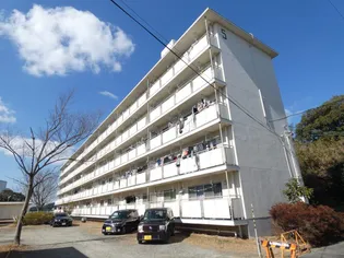 ビレッジハウス国本5号棟の画像