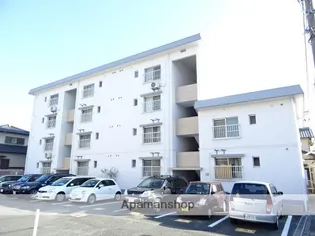 メゾン若林Ⅱ【4階】の外観