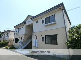 セレッソDの画像