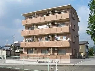 ポラリスの画像