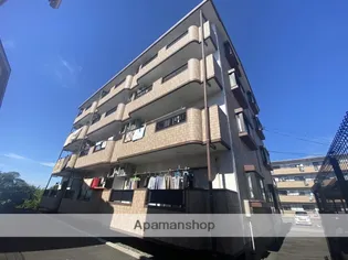 メゾンマスカット【4階】の外観