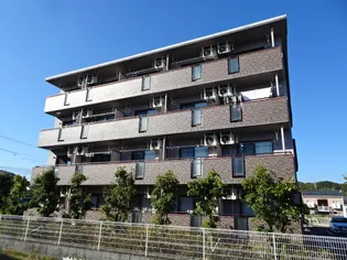 フリージアの画像