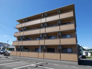 PISOはなみずきの画像