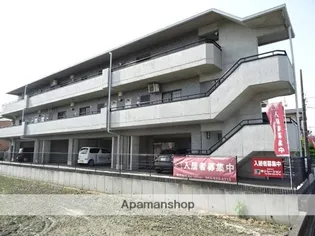 M シュルプリーズ ドゥの画像