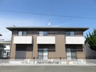 どれみの画像