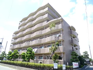 コスモスの画像